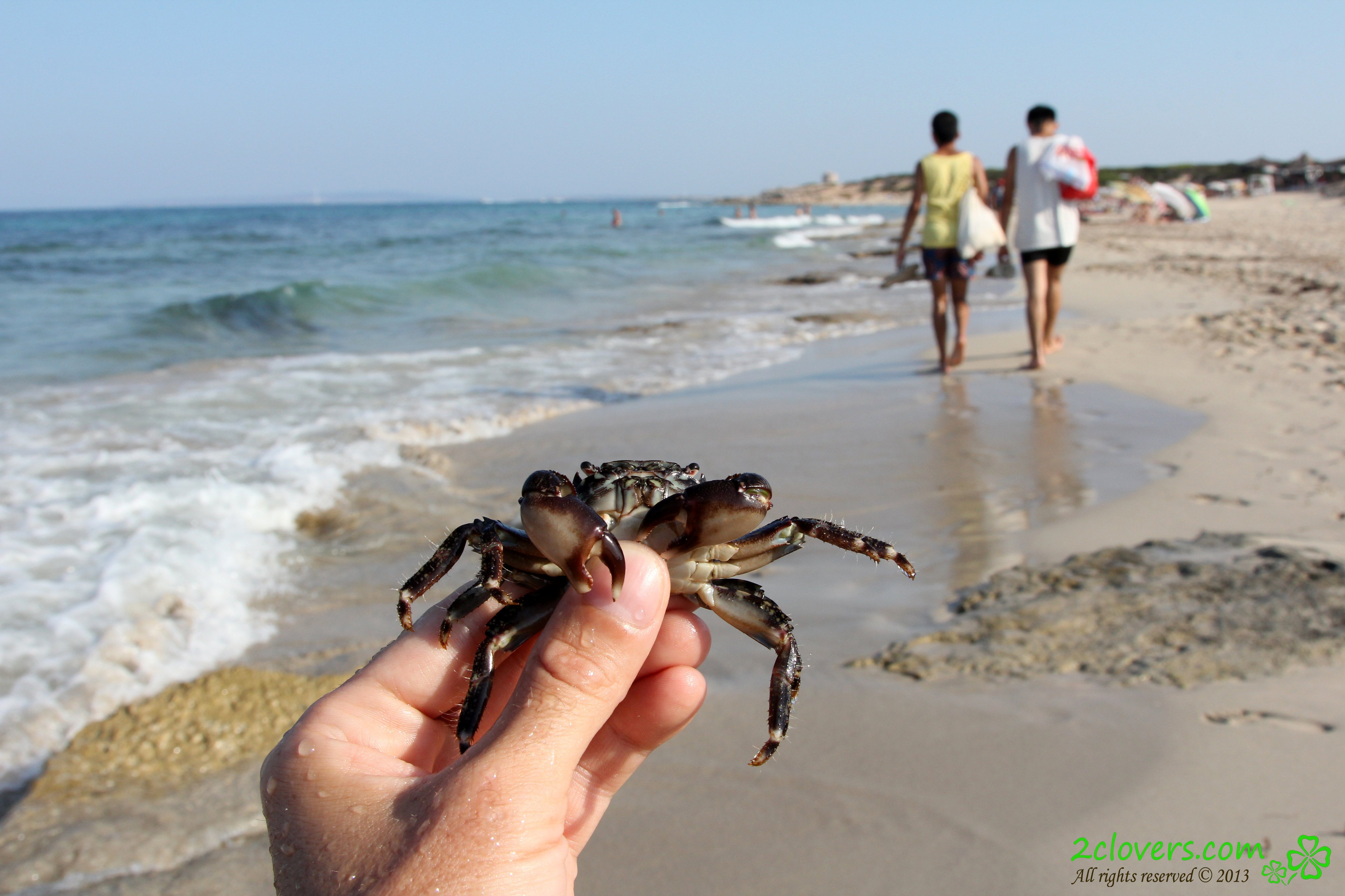 Photo cat&eacute;goris&eacute;e avec&nbsp;: 2clovers.com, Beach, Es Cavallet Beach Part 1, Sexy Wallpaper