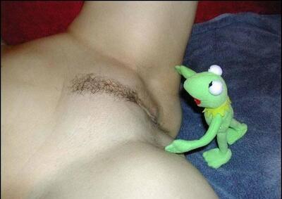 Photo catégorisée avec : Close-up, Funny, Kermit, Pussy